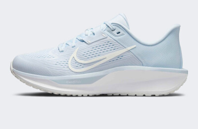 Кросівки Nike Quest 6 - 173584, фото 1 - інтернет-магазин MEGASPORT